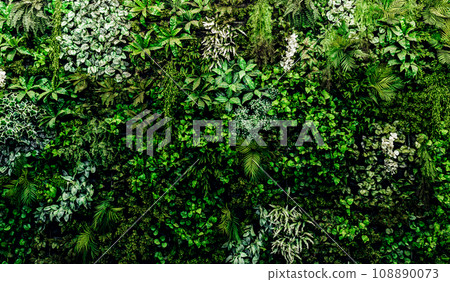 Herb wall, plant wall, natural green wallpaper and background. 108890073