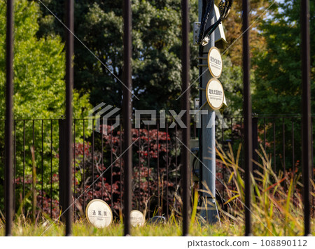 Tokyo weather observation point (outdoor) installed in Kitanomaru Park 108890112