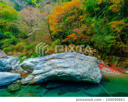 高知縣中津溪谷，秋天的河邊有紅葉 108890661