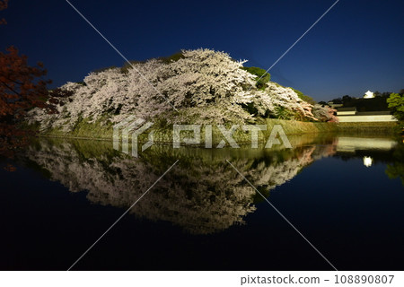 Reflection of Hikone Castle and cherry blossoms at night (Hikone City, Shiga Prefecture) Reflection of Hikone Castle and cherry blossoms at night (Hikone City, Shiga Prefecture) 108890807