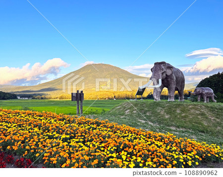 [Shinanomachi, Nagano Prefecture] Lake Nojiri Naumann Elephant Mt. Kurohime from National Route 18 108890962