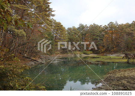 福島、裡磐梯、五色沼、青沼和紅葉風景 108891025