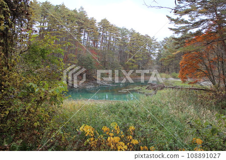 福島、裡磐梯、五色沼、青沼和紅葉風景 福島、裡磐梯、五色沼、青沼和紅葉風景 108891027