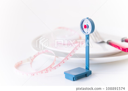 Diet image/Weight scale Measure Plate 108891574