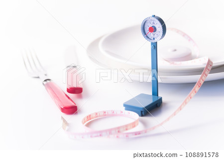 Diet image/Weight scale Measure Plate Diet image/Weight scale Measure Plate 108891578