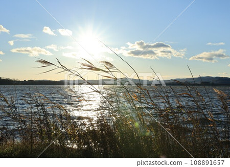Autumn sunset and Japanese grass at Lake Abashiri (Hokkaido) 108891657