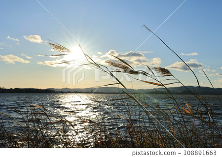 Autumn sunset and Japanese grass at Lake Abashiri (Hokkaido) Autumn sunset and Japanese grass at Lake Abashiri (Hokkaido) 108891663