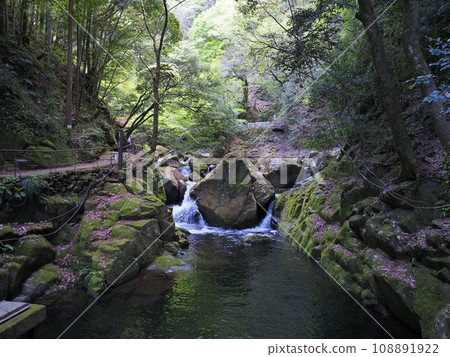 Gyoja Falls, Akame Shijuhachi Falls, Murou Akame Aoyama Quasi-National Park (Mie Prefecture, Nabari City) 108891922