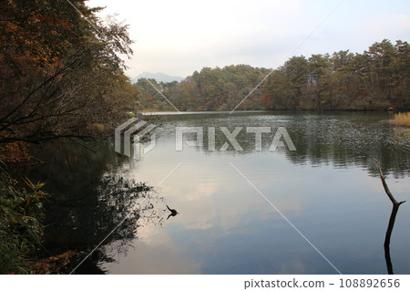 福島、裡磐梯、五色沼、毘沙門濕原和秋葉風景 108892656