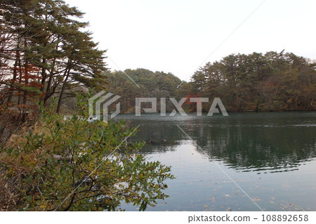 福島、裡磐梯、五色沼、毘沙門濕原和秋葉風景 福島、裡磐梯、五色沼、毘沙門濕原和秋葉風景 108892658