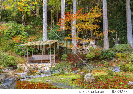 京都大原、紅葉美麗的少林院、山王社、觀音堂、寶鏡院 108892781