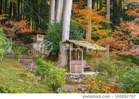 京都大原、紅葉美麗的少林院、山王社、觀音堂、寶鏡院 108892797
