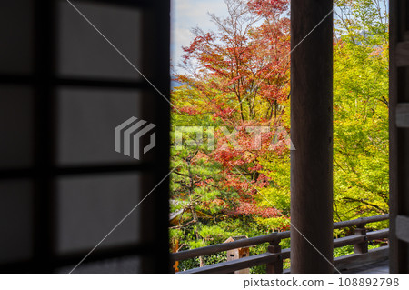 秋季從京都大原少林院主殿眺望花園 秋季從京都大原少林院主殿眺望花園 108892798