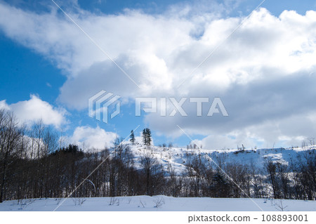 Mountain area after logging Mountain area after logging 108893001