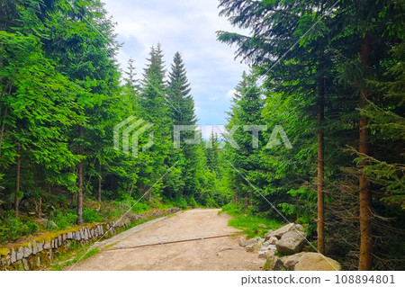 Hiking trail in the mountains in the national park in spring. Hiking trail in the mountains in the national park in spring. 108894801