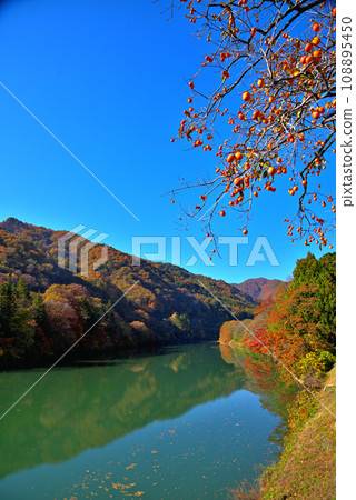 [長野縣] 木曾町、大瀧川 秋天的木曾水壩湖 108895450