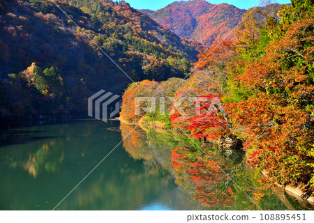 [Nagano Prefecture] Kiso Town, Otaki River Kiso Dam Lake in autumn 108895451