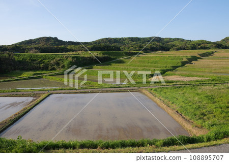 小佐南稻田 108895707