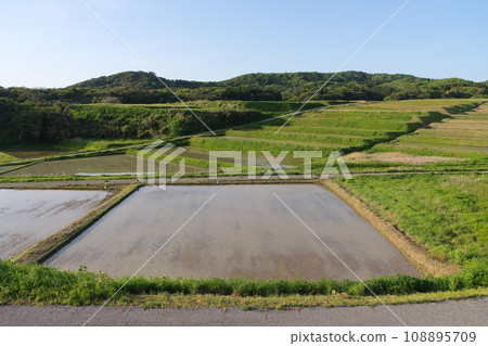 小佐南稻田 小佐南稻田 108895709