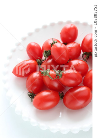 Fresh Mini Tomato Fresh Mini Tomato 108895753