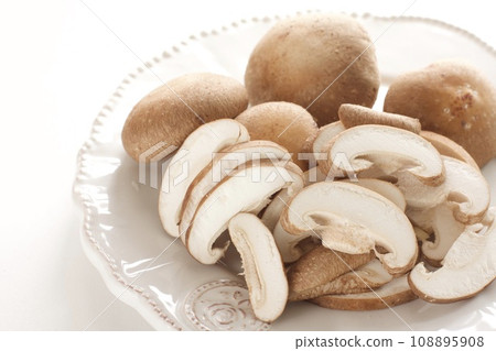 Shiitake mushroom Shiitake mushroom 108895908