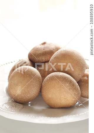 Shiitake mushroom Shiitake mushroom 108895910