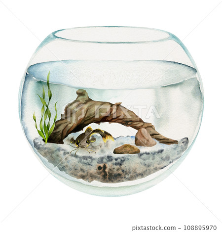 Hand drawn watercolor aquarium fish, algae, bog wood in round fishbowl. Marine exotic underwater illustration. Isolated on white background. Design for shops, brochure, print, card, wall art, textile. 108895970