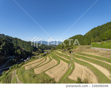 秋天的飛鳥村上梯田 108896046