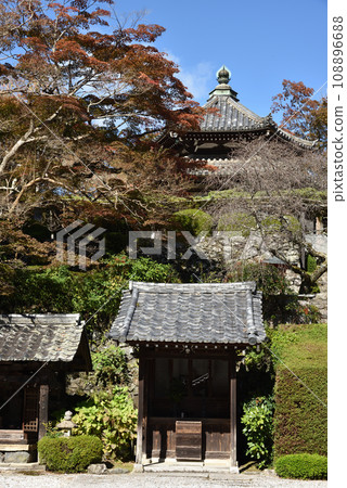 共同堂和龍龍松和楓樹,吉峰寺 共同堂和龍龍松和楓樹,吉峰寺 108896688