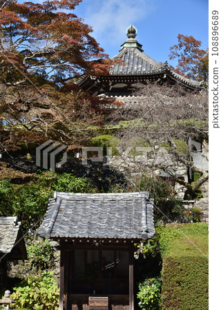共同堂和龍龍松和楓樹,吉峰寺 共同堂和龍龍松和楓樹,吉峰寺 108896689