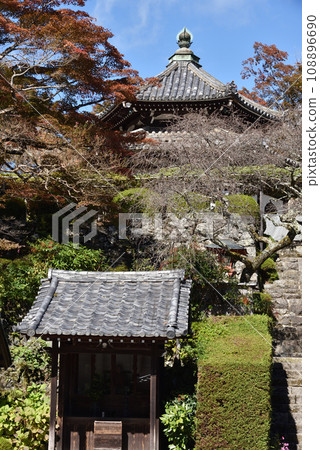 共同堂和龍龍松和楓樹,吉峰寺 共同堂和龍龍松和楓樹,吉峰寺 108896690