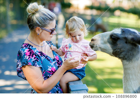 Adorable cute toddler girl and young mother feeding little goats and sheeps on kids farm. Beautiful baby child petting animals in petting zoo. Woman and daughter together on family weekend vacations 108896800