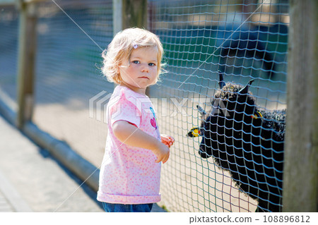 Adorable cute toddler girl feeding little goats and sheeps on a kids farm. Beautiful baby child petting animals in petting zoo. Excited and happy girl on family weekend. Adorable cute toddler girl feeding little goats and sheeps on a kids farm. Beautiful baby child petting animals in petting zoo. Excited and happy girl on family weekend. 108896812