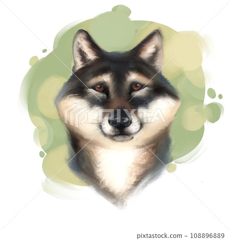 Adorable dog portrait on green 108896889