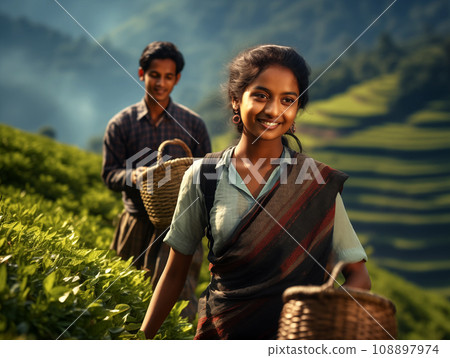 Photo tea pickers. Indian women and man collect tea leaves on the plantation. Photo tea pickers. Indian women and man collect tea leaves on the plantation. 108897974