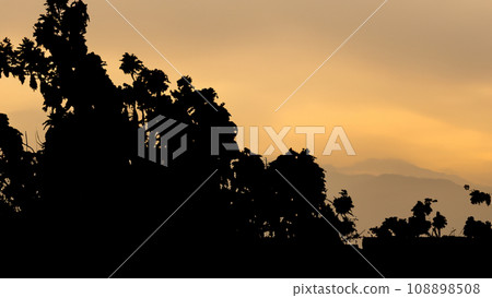landscape in silhouette 108898508