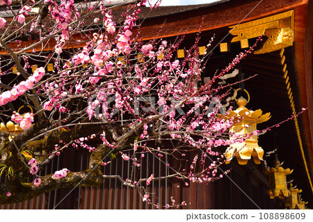 Ume Kitano Tenman-myeon Ume Kitano Tenman-myeon 108898609