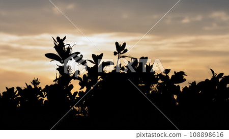 scenery in silhouette 108898616