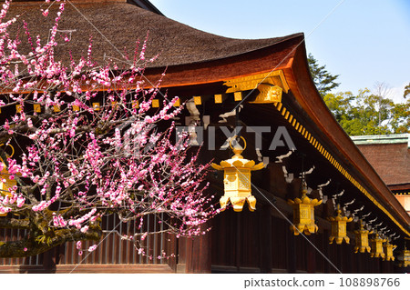 Ume Kitano Tenman-myeon Ume Kitano Tenman-myeon 108898766