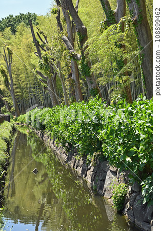 川口步行:Seseragi 川口市東內野市 川口步行:Seseragi 川口市東內野市 108899462