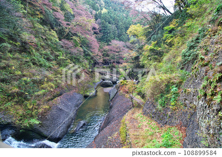 Suspension bridge seen from Fukuroda Falls viewing platform (autumn, November) 108899584