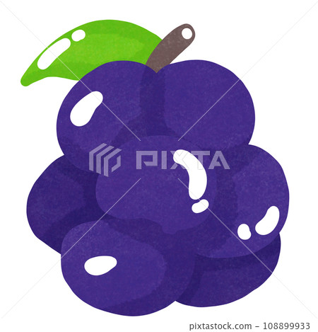 grapes grapes 108899933
