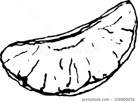 Hand drawn tangerine and slices vector illustration Decorative design element,tangerine Hand drawn tangerine and slices vector illustration Decorative design element,tangerine 108900056