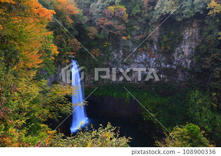 [Kumamoto Prefecture] Shimojo Falls in autumn leaves 108900336