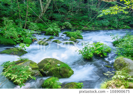 Oirase流 Oirase流 108900675