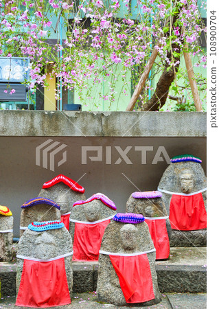 京都紫雲山長法寺六角堂的地藏像和櫻花（京都市中京區） 108900704