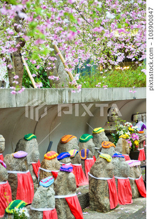 京都紫雲山長法寺六角堂的地藏像和櫻花（京都市中京區） 108900847