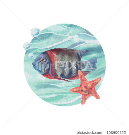 Fish, starfish, water bubbles on the background of the sea. Vector illustration in watercolor style. Food labels, greeting cards, covers, banners. Fish, starfish, water bubbles on the background of the sea. Vector illustration in watercolor style. Food labels, greeting cards, covers, banners. 108900855