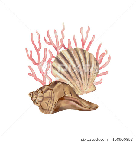 A scallop-shaped seashell and a spiral-shaped seashell. Vector illustration. Watercolor style. Greeting cards, invitations, covers, flyers and banners A scallop-shaped seashell and a spiral-shaped seashell. Vector illustration. Watercolor style. Greeting cards, invitations, covers, flyers and banners 108900898