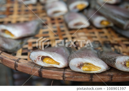 Closeup snake skin Gourami Fish called Pla Salit sell in Thai market Closeup snake skin Gourami Fish called Pla Salit sell in Thai market 108901397